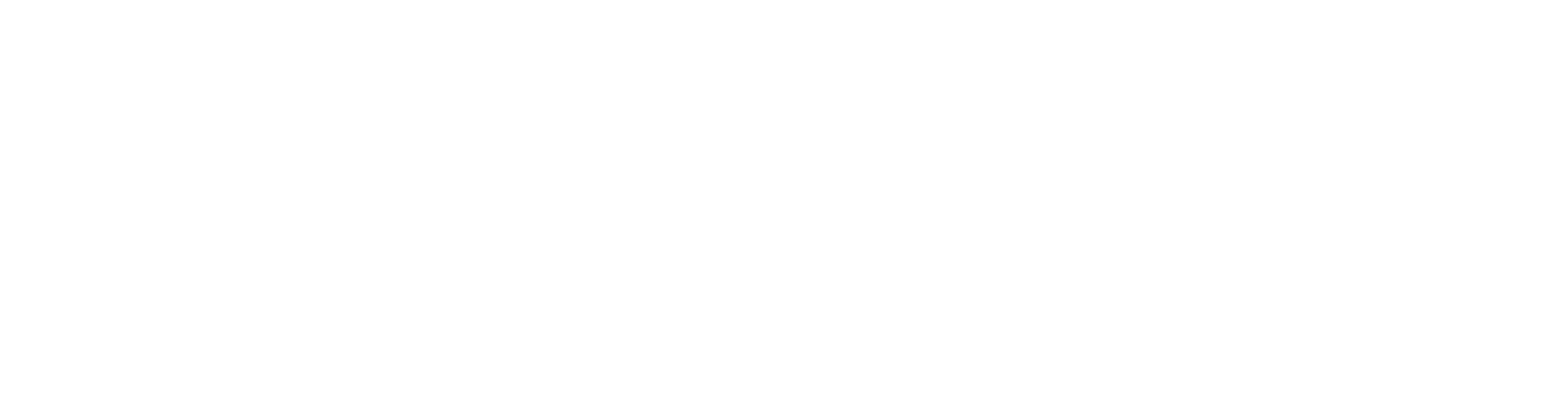 CFSI-logo-white